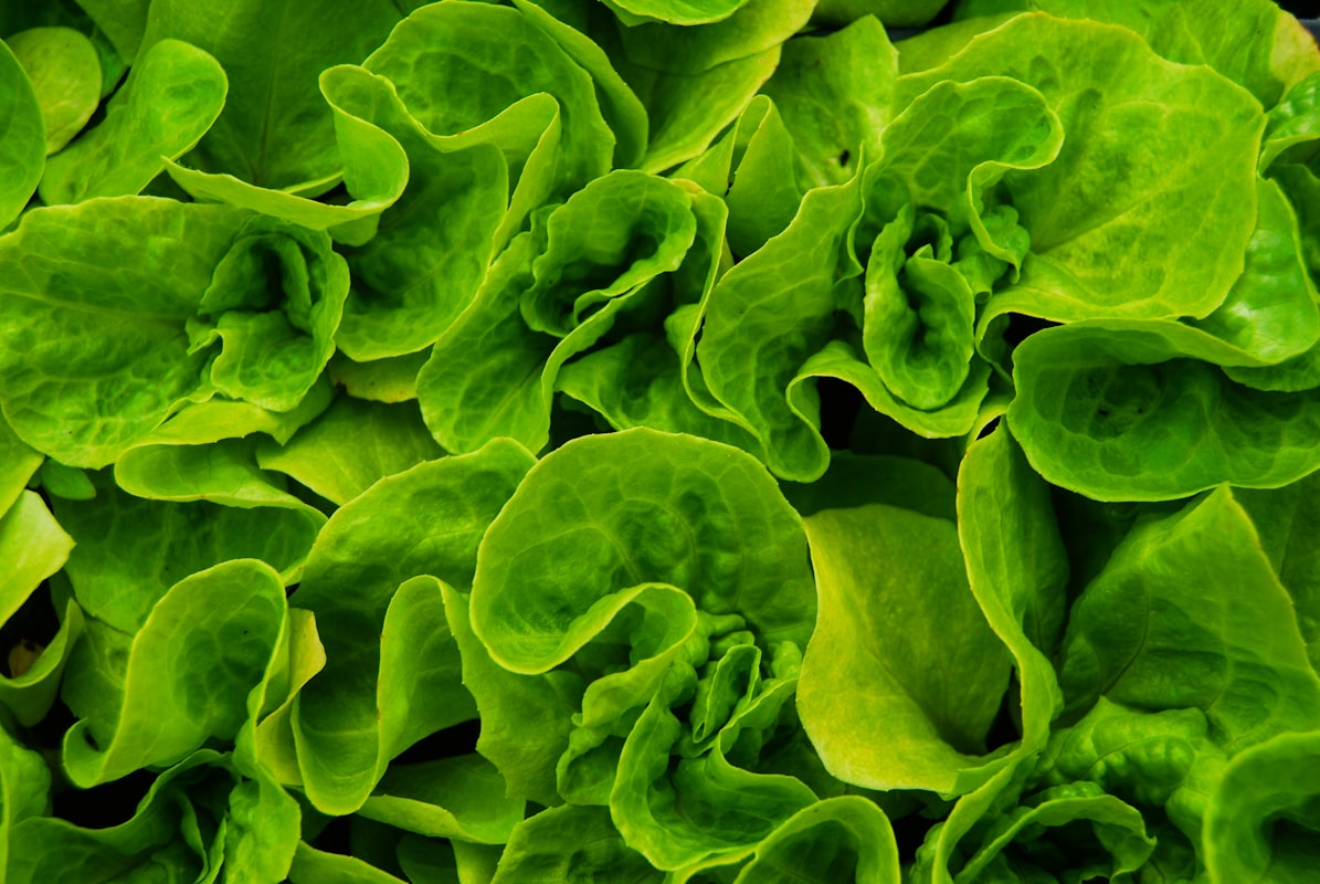 Verdure ricche di luteina e zeaxantina